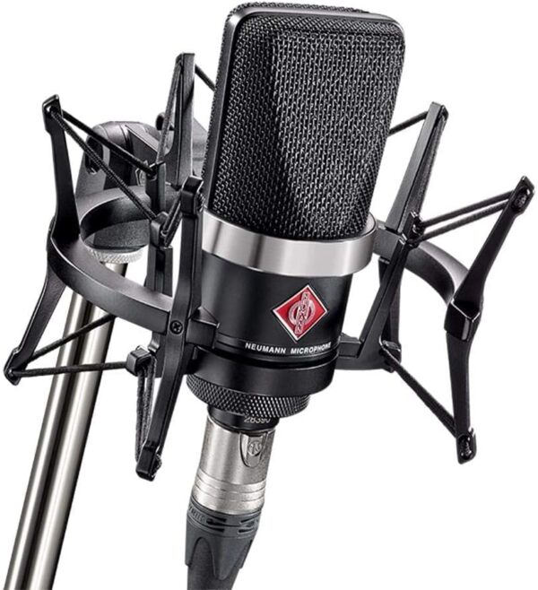 Neumann TLM 102 Review