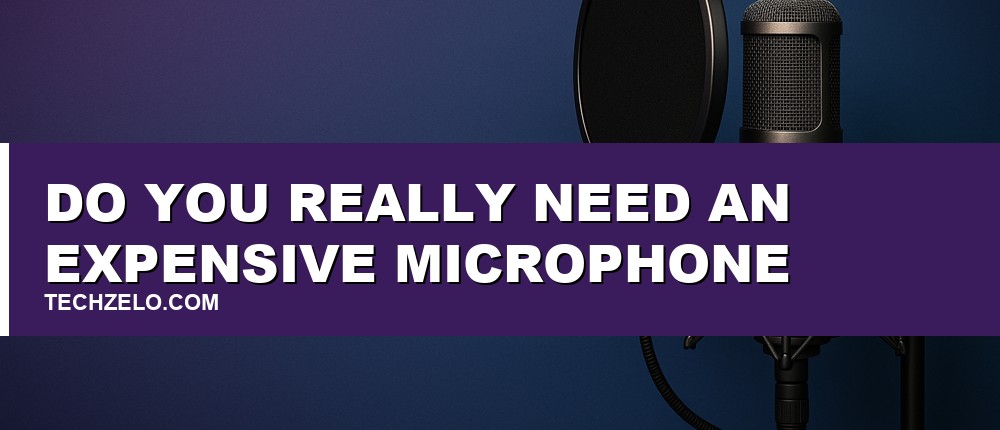 Do You Really Need an Expensive Microphone?